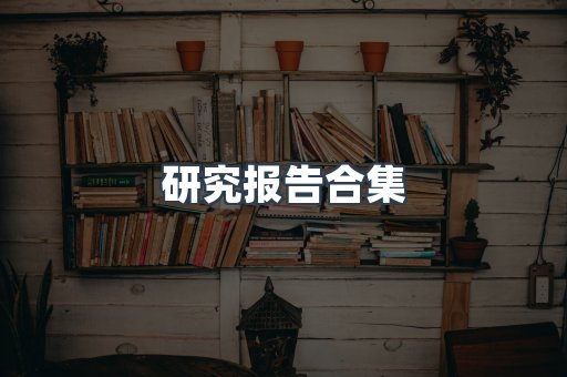 研究报告合集